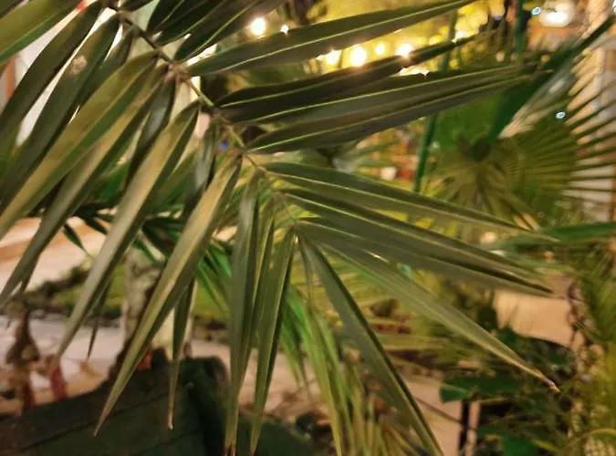 Vendégház Brigantina