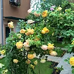 Affittacamere Brigantina 3*