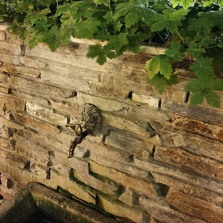 بيت ضيافة Brigantina نيسيبار